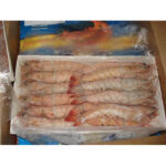 CAMARÓN CON CABEZA DEL GOLFO-TAMPICO